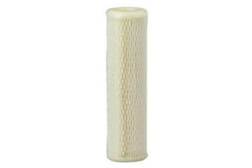 Sediment Filter Cartridge, Pleated, Whole House, 5 Micron, Pack of Two
